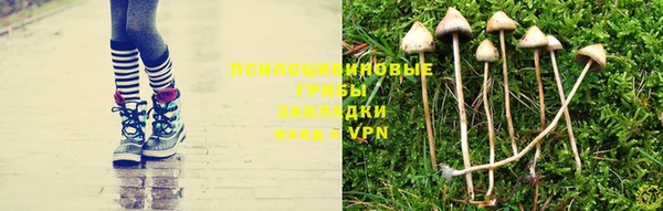 молекула духа Беломорск