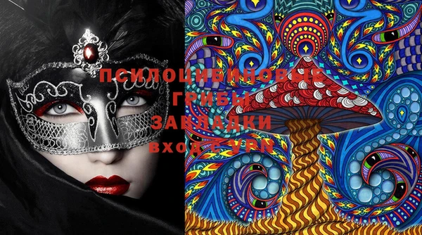 PSILOCYBIN Тобольск